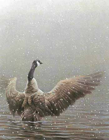 ROBERT BATEMAN 36X28 Secondary Market Art: "STRETCHING CANADA GCNV"