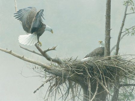 ROBERT BATEMAN 36x48 Secondary Market Art: "RETURN EAGLE PAIR GCNV"
