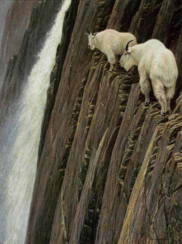 ROBERT BATEMAN 36X48 Secondary Market Art: "SHEER DROP MTN GCNV"