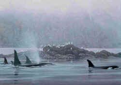 ROBERT BATEMAN 38X27 Secondary Market Art: "ORCA PROCESSION GCNV"
