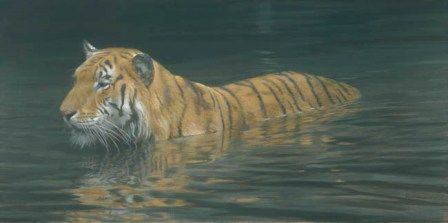 ROBERT BATEMAN 48X24 Secondary Market Art: "RIVER FORD TIGER GCNV"