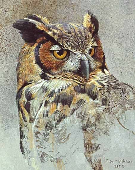ROBERT BATEMAN 7X9 Secondary Market Art: "GREAT HORNED OWL STDAP"