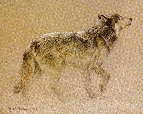 ROBERT BATEMAN 9X12 Secondary Market Art: "CATCHING THE SCENT"