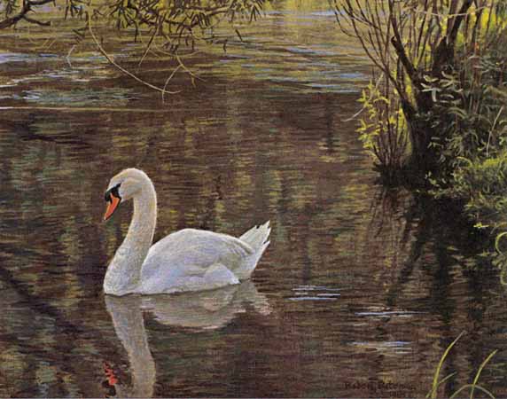 ROBERT BATEMAN 9X7 Secondary Market Art: "SYLVAN STREAM SWAN AP"
