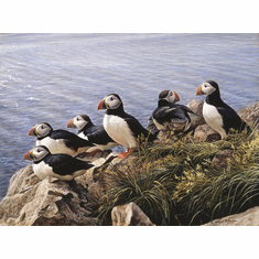 Robert Bateman Artist Signed Limited Edition Canvas Giclee:"Bright Day - Atlantic Puffins" 