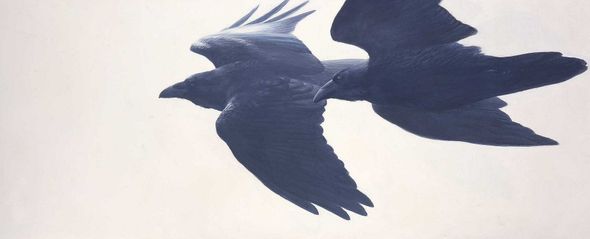 Robert Bateman Artist Signed Limited Edition Canvas Giclee:"Reconciliation - Ravens"