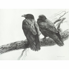 Robert Bateman Artist Signed Limited Edition Canvas | Metal Giclee:"Raven Pair on Branch"