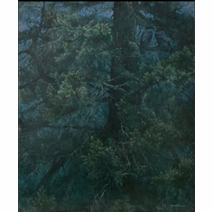 Robert Bateman Artist Signed Limited Edition Giclee Canvas:"Raven Roost"