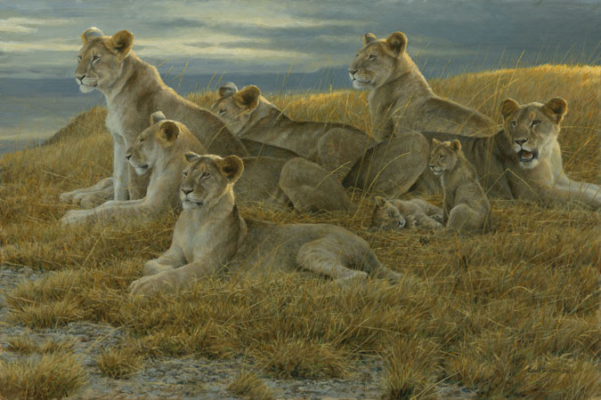 Robert Bateman Hand Signed And Numbered Limited Edition Print and Canvas Giclee :"Family Gathering - Lioness and Cubs"