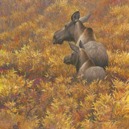Robert Bateman Hand Signed and Numbered Limited Edition Print: "Fall Forage - Moose Calf and Cow "