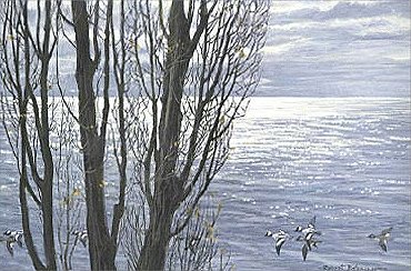 Robert Bateman Hand Signed And Numbered Limited Edition Print:"Poplar Tree and Buffleheads "