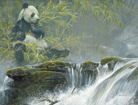 Robert Bateman Hand Signed And Numbered Limited Edition Renaissance Canvas Giclee :"Giant Panda"
