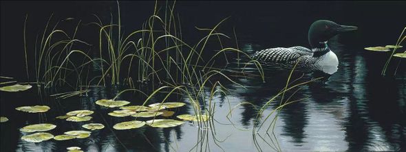 Robert Bateman Hand Signed And Numbered Limited Edition Renaissance Collection Canvas Giclee:" Lily Pads and Loon "