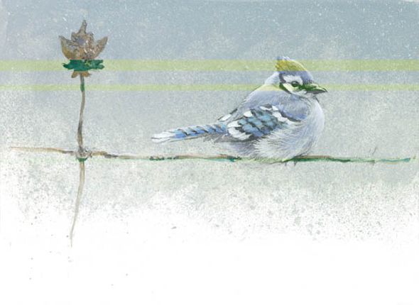 Robert Bateman Hand Signed and Numbered Limted Edition Print:"Winter Blue - Blue Jay" 