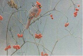 Robert Bateman Handsigned and Numbered Limited Edition Canvas Giclee:"Highbush Cranberries - Cardinal"