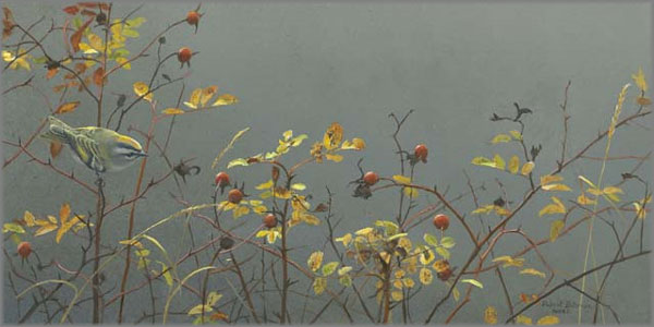 Robert Bateman Handsigned and Numbered Limited Edition Giclee on Canvas: "Rose Hip and Kinglet "