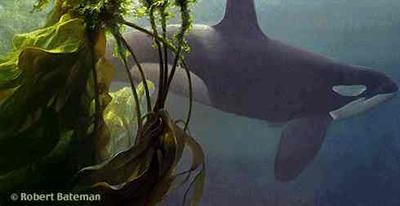 Robert Bateman Handsigned and Numbered Limited Edition Print: "Ocean Rhapsody"