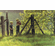 Robert Bateman Handsigned and Numbered Limited Edition Renaissance Giclee Canvas:"Tadpole Time"