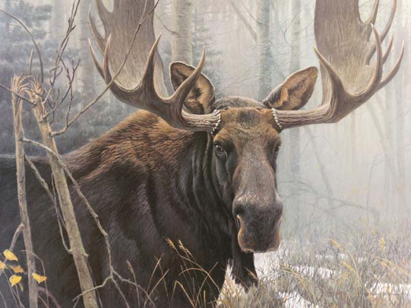 Robert Bateman Handsigned and Numbered Limited Edition Renaissance Giclee on Canvas: "Bull Moose"