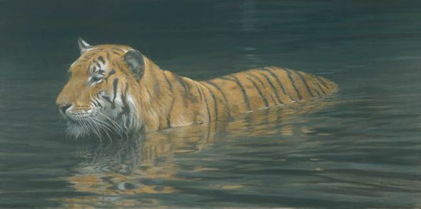 Robert Bateman Handsigned and Numbered Limited Edition Renaissance Giclee on Canvas:"RIVER FORD - TIGER"