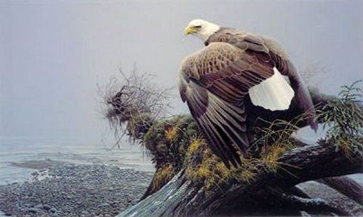 Robert Bateman Handsigned and Numbered Limited Edition Renaissance Giclee on Canvas:"Vantage Point"