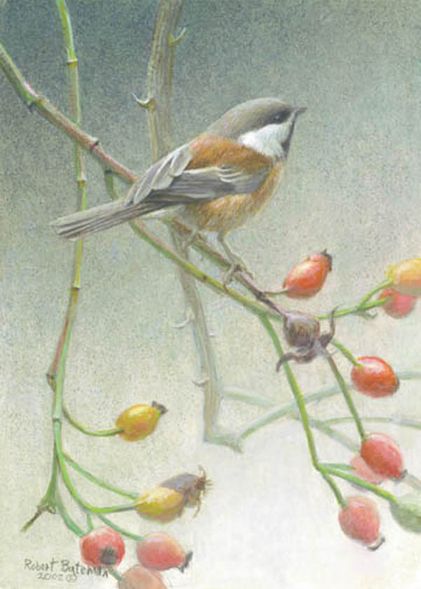 Robert Bateman Handsigned and Numbered Limted Edition Print:"Chickadee and Rose Hips"