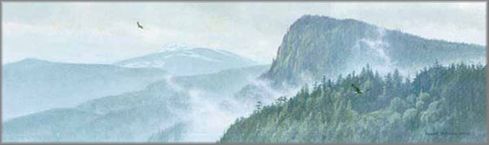 Robert Bateman Handsigned Limited Edition Renaissance Giclee Canvas w/ book :"Thinking Like a Mountain"