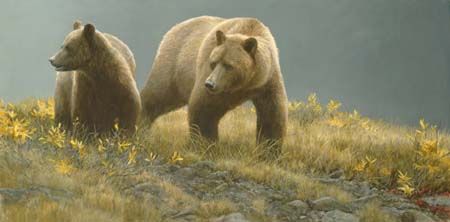 Robert Bateman Handsigned & Numbered Limited Edition : "Alaska Light"