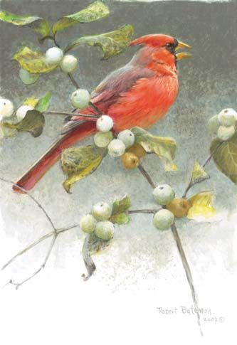 Robert Bateman Handsigned & Numbered Limited Edition Canvas:"Cardinal And Snowberries"