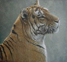 Robert Bateman Handsigned & Numbered Limited Edition:"First Alert"