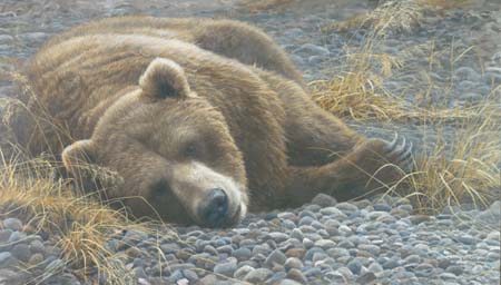 Robert Bateman Handsigned & Numbered Limited Edition Giclee on Canvas:"Grizzly at Rest"