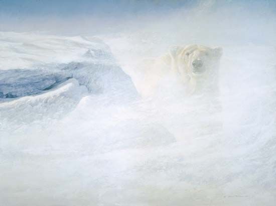 Robert Bateman Handsigned & Numbered Limited Edition Giclee on Canvas:"White Encounter"