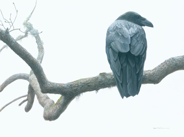 Robert Bateman Artist Signed  Numbered Limited Edition Canvas Giclee:"Lone Raven"