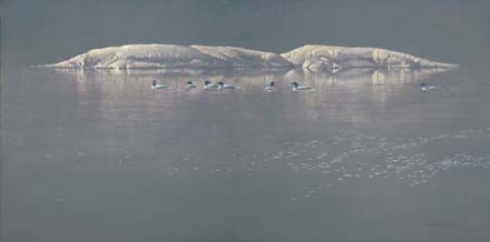 Robert Bateman Handsigned & Numbered Limited Edition Print:"Loon Gathering at Big East "