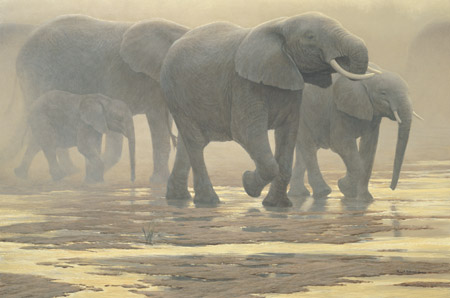 Robert Bateman Limited Edition Canvas:"By The River"