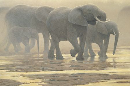 Robert Bateman Limited Edition Canvas:"By The River"