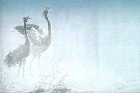 Robert Bateman Limited Edition Canvas:"Cries Of Courtship"