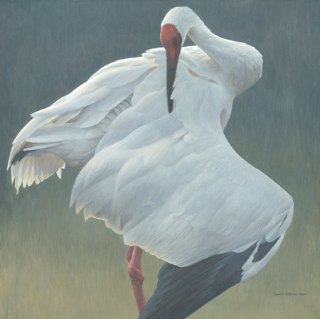 Robert Bateman Limited Edition Giclee Canvas:"Defensive Stand"