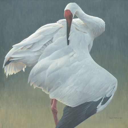 Robert Bateman Limited Edition Giclee Canvas:"Defensive Stand"