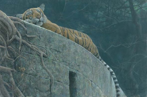 Robert Bateman Limited Edition Giclee Canvas:"Old Fort Tiger"