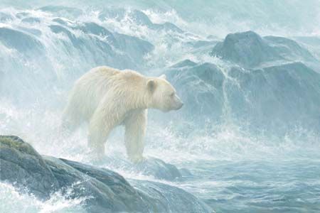 Robert Bateman Limited Edition Giclee on Canvas:"Salmon Watch - Spirit Bear"