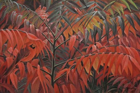 Robert Bateman Limited Edition Paper Print:"Cardinal And Sumac Charter Ed."