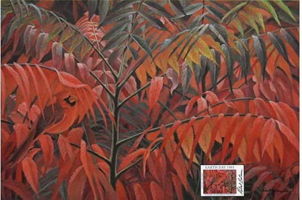 Robert Bateman Limited Edition Paper Print:"Cardinal And Sumac Commemorative Ed."
