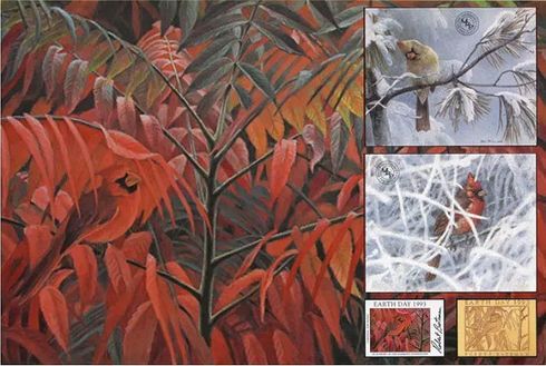 Robert Bateman Limited Edition Paper Print:"Cardinal And Sumac Global Ed." Robert Bateman Limited Edition Paper Print:"Cardinal And Sumac Global Ed."