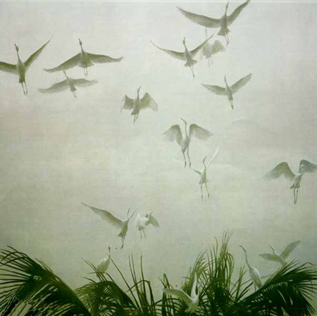 Robert Bateman Limited Edition Paper Print:"Egrets Of The Sacred Grove"