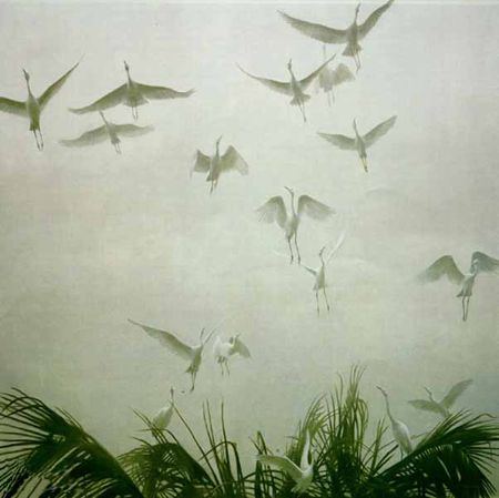 Robert Bateman Limited Edition Paper Print:"Egrets Of The Sacred Grove"
