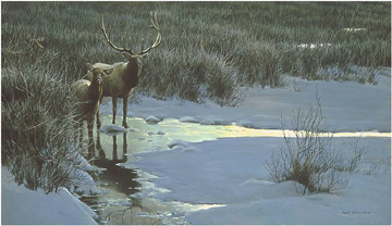 Robert Bateman Limited Edition Paper Print:"Evening Light - Elk"