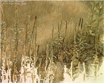 Robert Bateman Limited Edition Paper Print:"Goldfinch With Mullein"