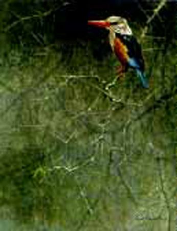 Robert Bateman Limited Edition Paper Print:"Greyhooded Kingfisher - Sappi"