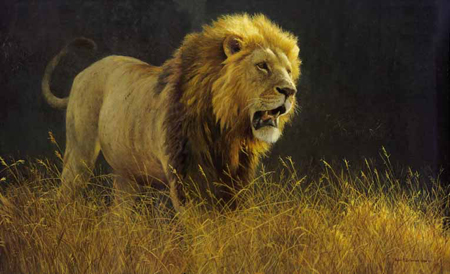 Robert Bateman Limited Edition Paper Print:"Into The Light - Lion"